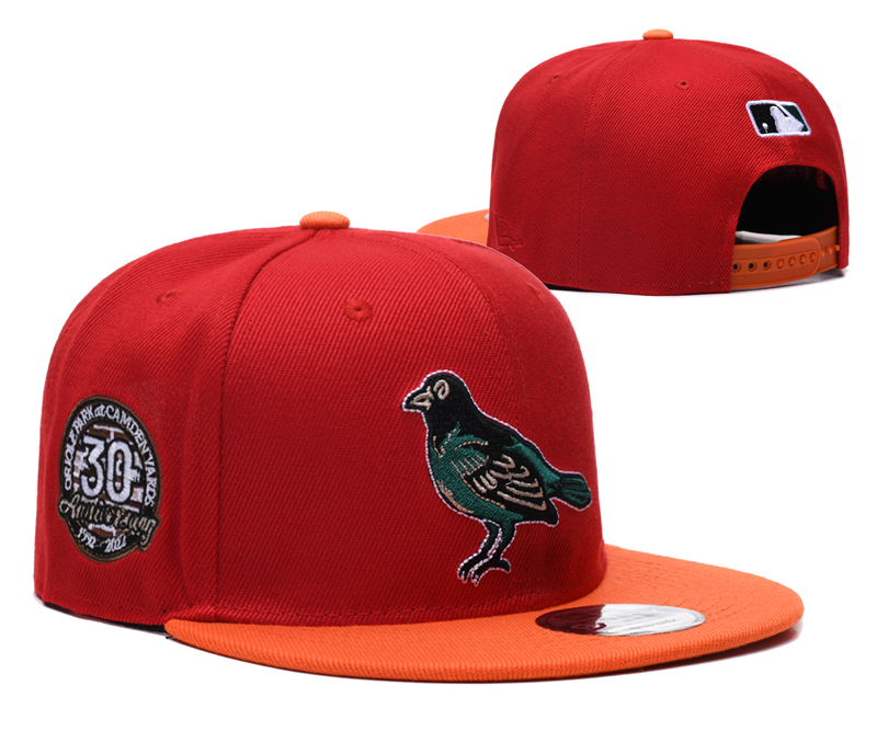 Arizona Cardinals hat 024->->Sports Caps